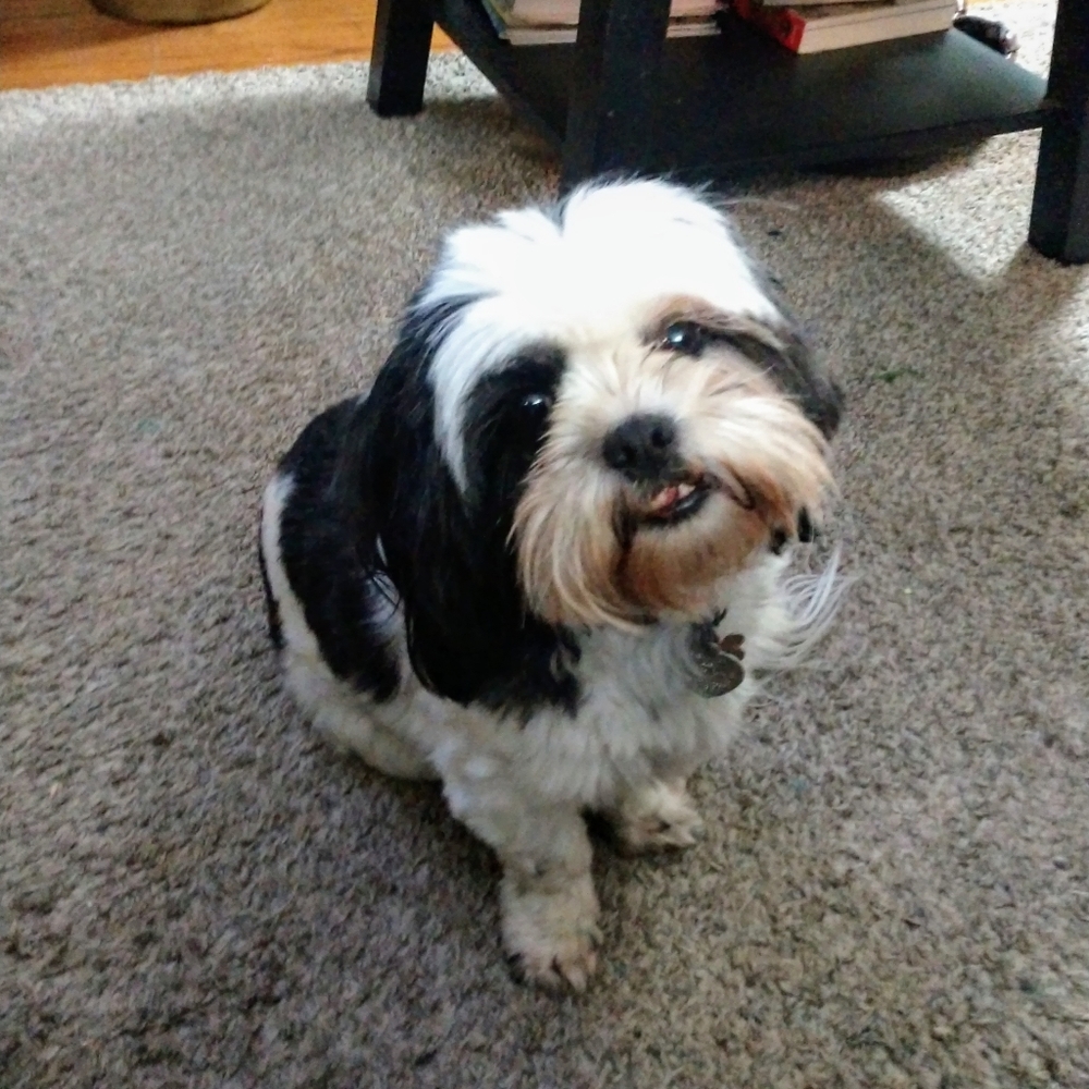 Meet your Posher, Christy